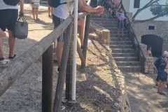 Cala-Ratjada-2025-126